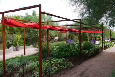 Shade Sliding Canopy, used by permision from RockRose Blog! At Desert Botanical Garden.