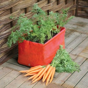 Container Carrot Patio Planter Haxnicks