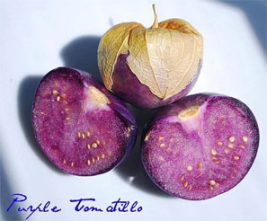 Purple Tomatillo in the Husk and cut open to see the Seeds!