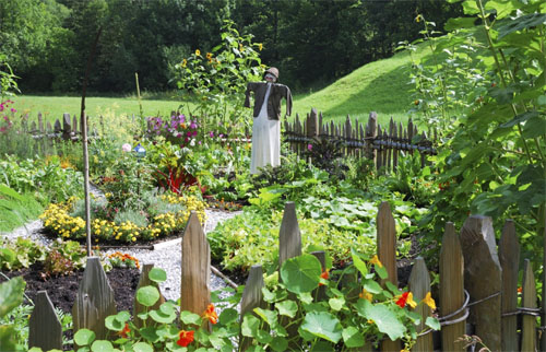 Design Your Beautiful Summer Garden!
