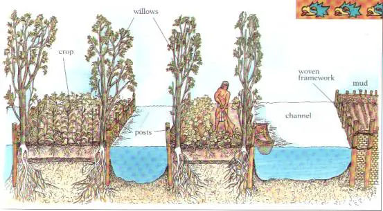 Mexico City's Chinampas Structural Diagram