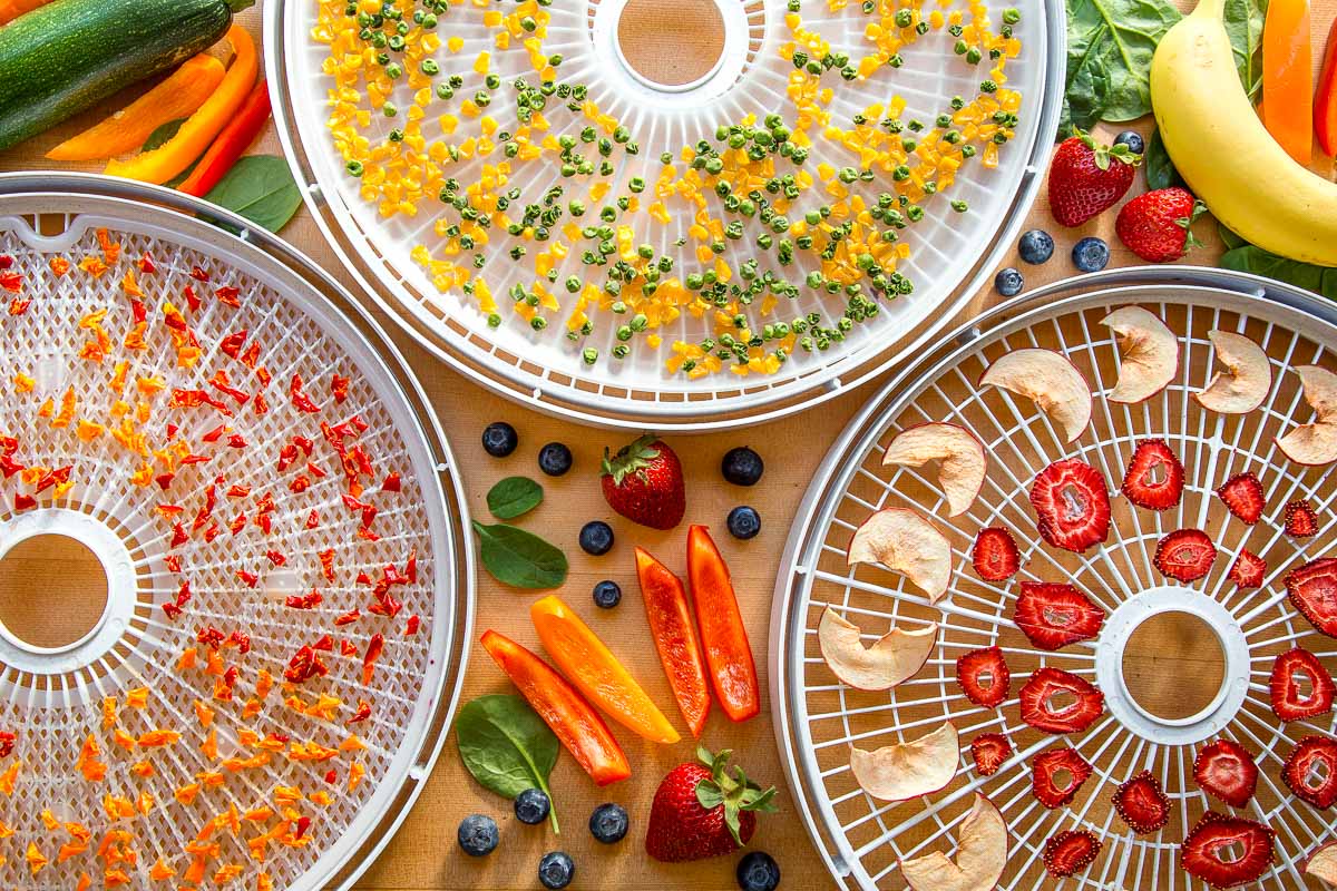 Best Dehydrators for Food Storage - The Purposeful Pantry